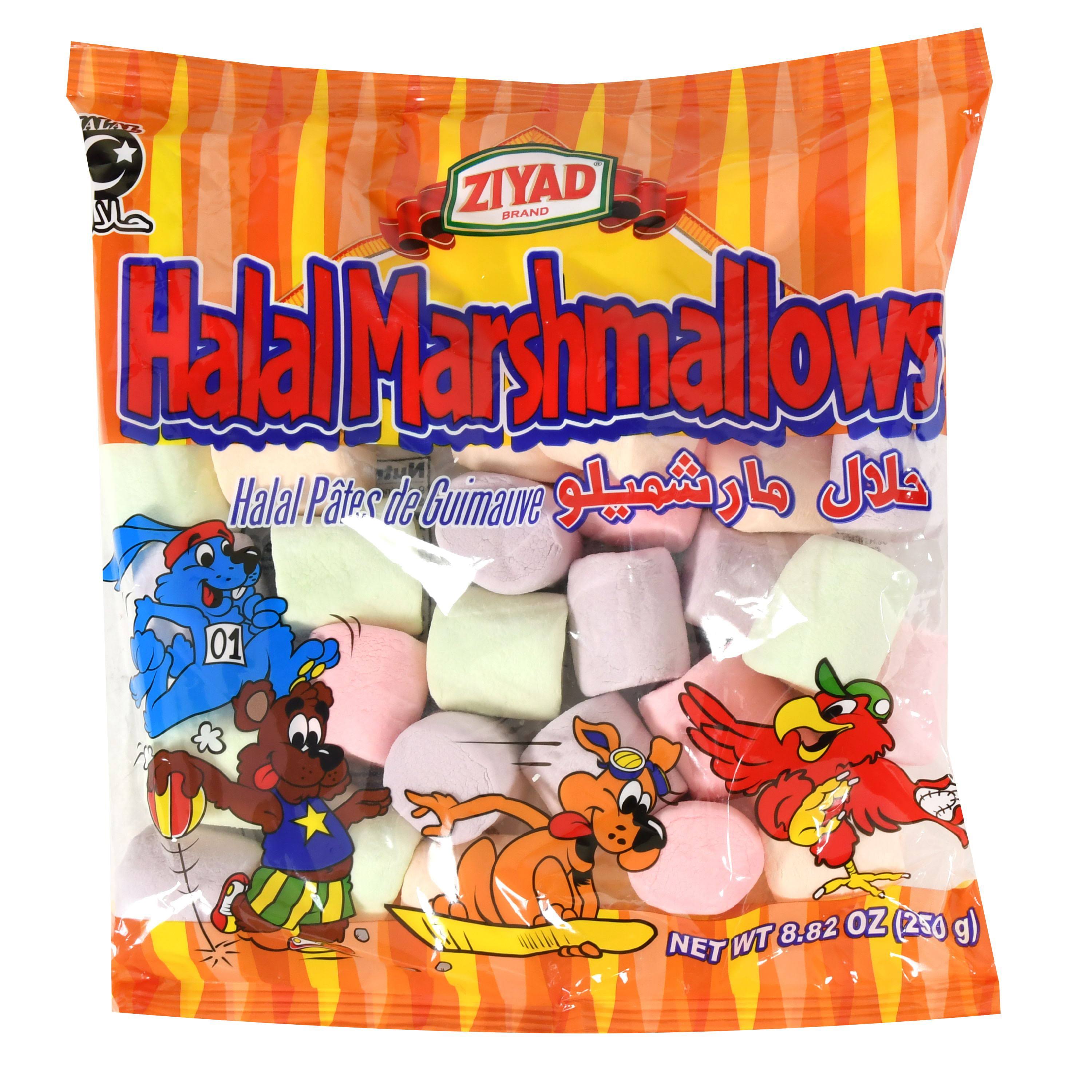  Ziyad Gourmet Halal Giant Marshmallows in Jumbo Bag