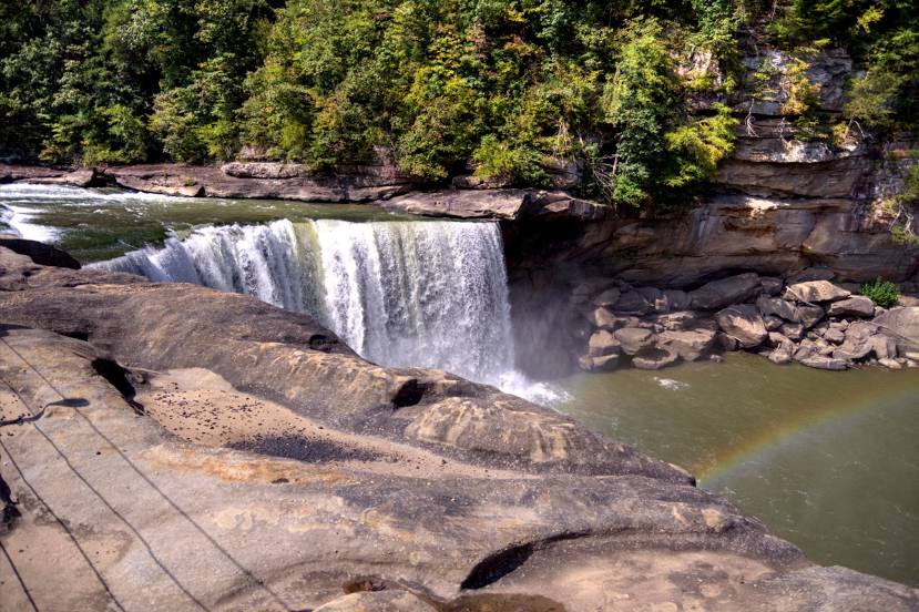 Cumberland Falls Landscaping & Tree Service