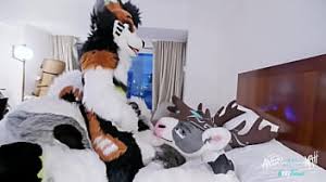 Gay fursuits sex gay porn popular videos gay bingo jpg x Fursuit sex