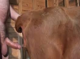 Furry cow fucking jpg x Fucks cow