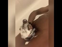 Free white chocolate dick porn videos page from thumbzilla jpg x Chocolate dick