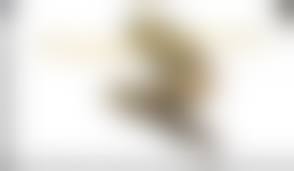 西村里香裸|セックスアダルト動画 Girlsdelta Rika Nishimura Javportal Best Pics ヌードアダルト動画