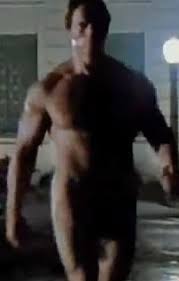 Arnold schwarzenegger terminator jpg x Arnold schwarzenegger