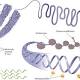 Scientists are One Step Closer to Reversing the Aging Process Entirely 