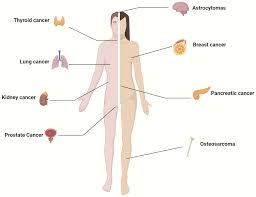 go ara  fake nude|Lynda Benglis | Pace Gallery