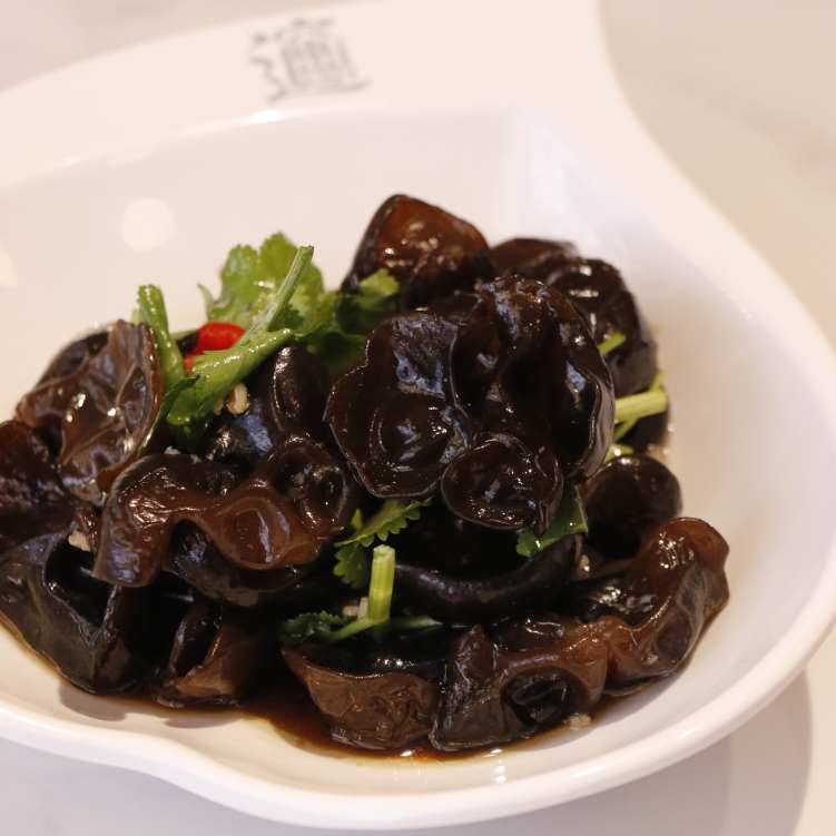 Xi’an BiangBiang Noodle by null