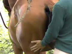 Slowly fucking a delicious white mare zoofilia porn jpg x Man fucks mare