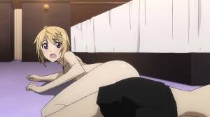 Infinite stratos long live ecchi jpg x Infinite stratos long live ecchi