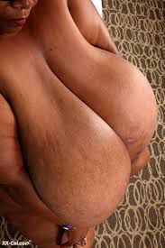 Norma stitz jpg x Norma stitz