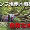 キャンプ場倒木
