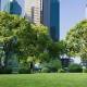 Views of grassy rooftops boost concentration 