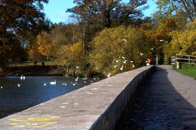 Handyman Aldenham Country Park