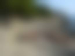 rajce.idnes. Chorvatsko pussy|Aktivistky Pussy Riot přivezou do Prahy revoluční punkovou operu - iDNES.cz