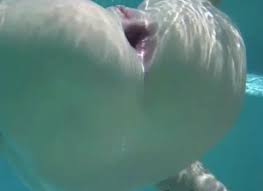 Underwater anal porn videos xvideos jpg x Underwater anal