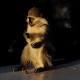 Monkey Triggers Kenyan Blackout After Tripping Hydropower Plant 