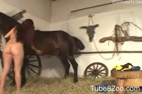 Watch flyfuk young tina enjoys swallowing horse cum free porn video jpg x Swallowing horse cum