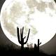 Supersized! November supermoon will be biggest in nearly 70 years 