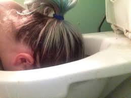 Head in toilet jpg x Head in toilet