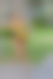 ftvgirls mindy nude|Athena & Mindy on FTVGirls.com Released Jun 5, 2015!