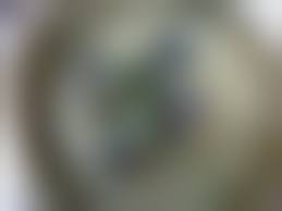 chan Mir hebe clit - 18