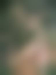  レイプ裸の死体|閲覧注意】強姦中出しされた女性の遺体が次々と公開される・・・これはアカン・・・（画像あり） - ポッカキット