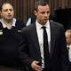 Oscar Pistorius trial: Sat just a few metres apart, the Steenkamps and the ...