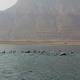 Why the Dead Sea is getting saltier – and shallower 