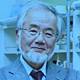 The Latest: Ohsumi 'Extremely Honored' to Win Medicine Nobel 