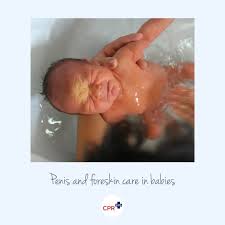 penis children|Eyes, Ears, Nose – and Penis! -