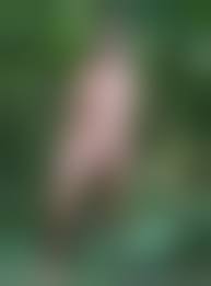 wife naked outdoor blond|