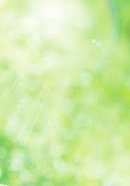 rq-star no. 00468|A Novel Review on Quadruped Robots Design Variants, Gait Modulation, and  Motion Planning Schemes - Azeez - Journal of Field Robotics - Wiley Online  Library