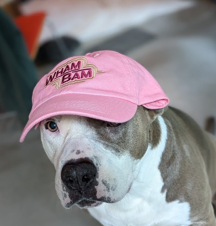 Wham Bam Bagels St Elmo by null