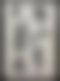 小妻容子無修正責め絵|SM肉筆原画【観世一則(1)SMファン掲載原画】検 緊縛 笠間しろう 前田