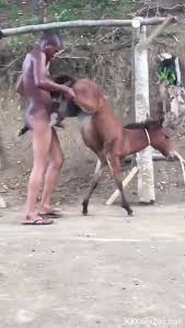 Horse fucks young man jpg x Guy fucked by horse