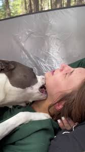 dog knoting teen girl|Free Dog Knot Porn Videos from Thumbzilla