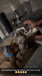 Watching daughter and her dog fuck doggies daughters daddies jpg x Fucked by my dog