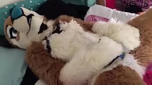 Furry gay spa sex pornjpg jpg x Fursuit sex