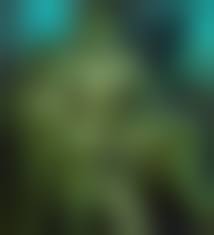 animated incest|New Year Present- Animated Incest | 18+ Porn Comics