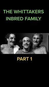 incest family famous|History and genetic diseases