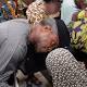 21 abducted Chibok schoolgirls freed 