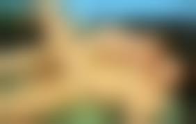 russian mom son porn|Russian mom son anal