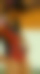 レオタード 透け 盗撮|パストレリ (PASTORELLI) 新体操 | アンダーレオタード（透けないインナー） | TDC SPORTS