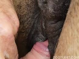 Slowly fucking a delicious white mare zoofilia porn png x Mare fucking