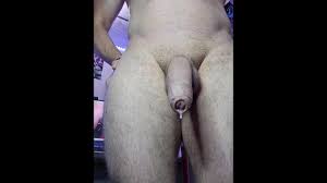 No penis jpg x No penis