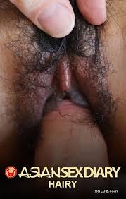 Hairy pussy jpg x Hairy pussy hd