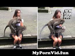 Monkey fuck arab girl on the ass jpg x Monkey fucks girl