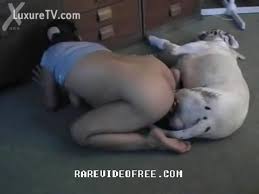 Home video catches mom fucking the family dog luxuretv jpg x Mom fuck dog