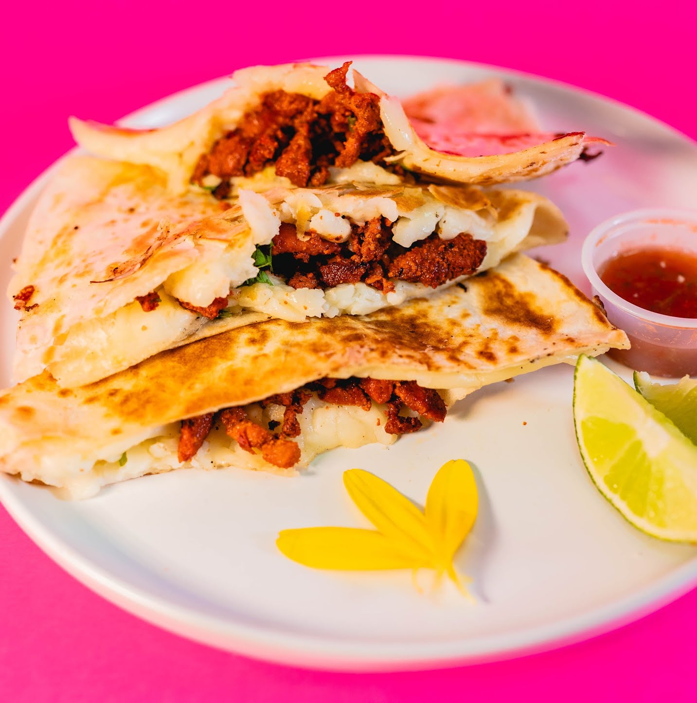 El Xolo Tacos by null