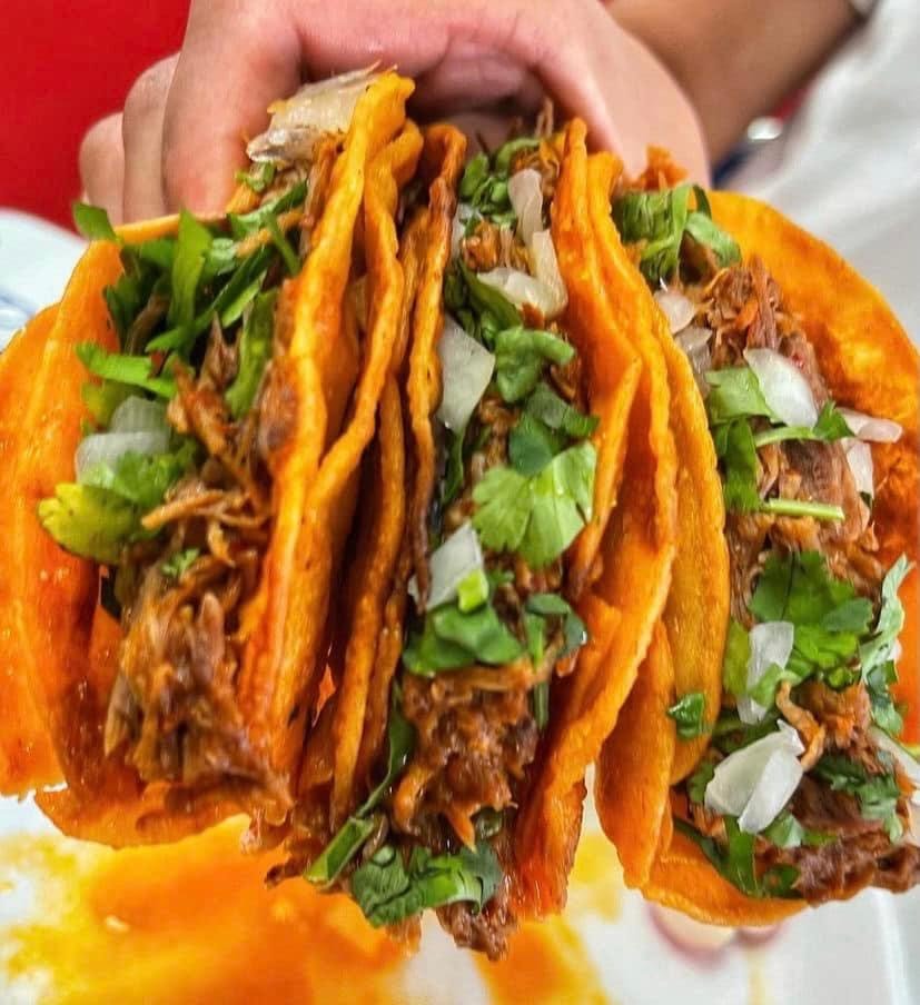 Los Barbaros Birria by null