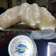 Is this the world's largest pearl? It's been under a bed for 10 years 